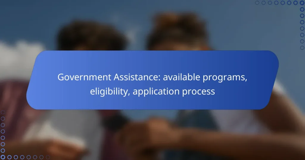 Government Assistance: available programs, eligibility, application process